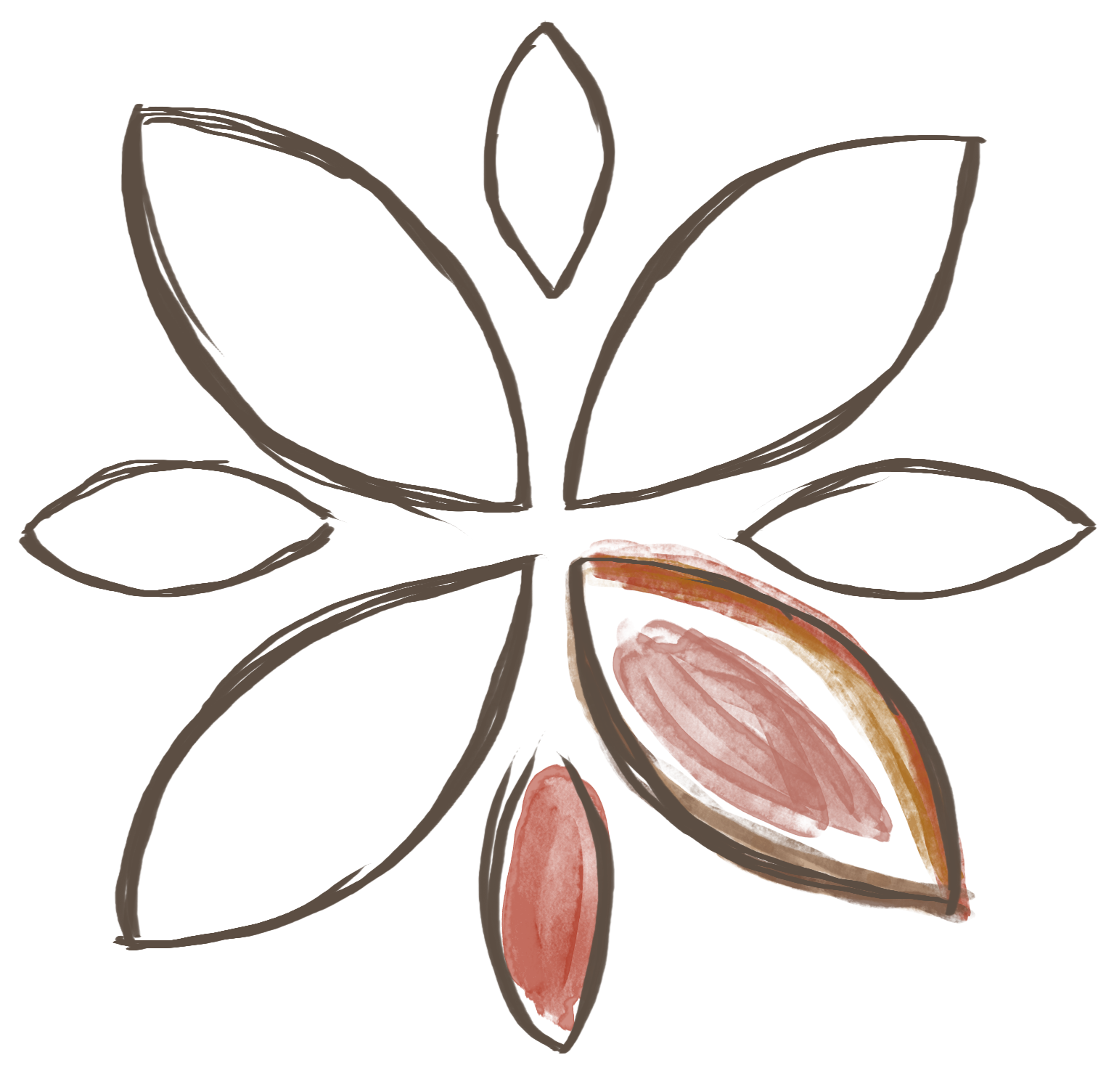 Ikona - ilustracja gwiazda Rysiny
