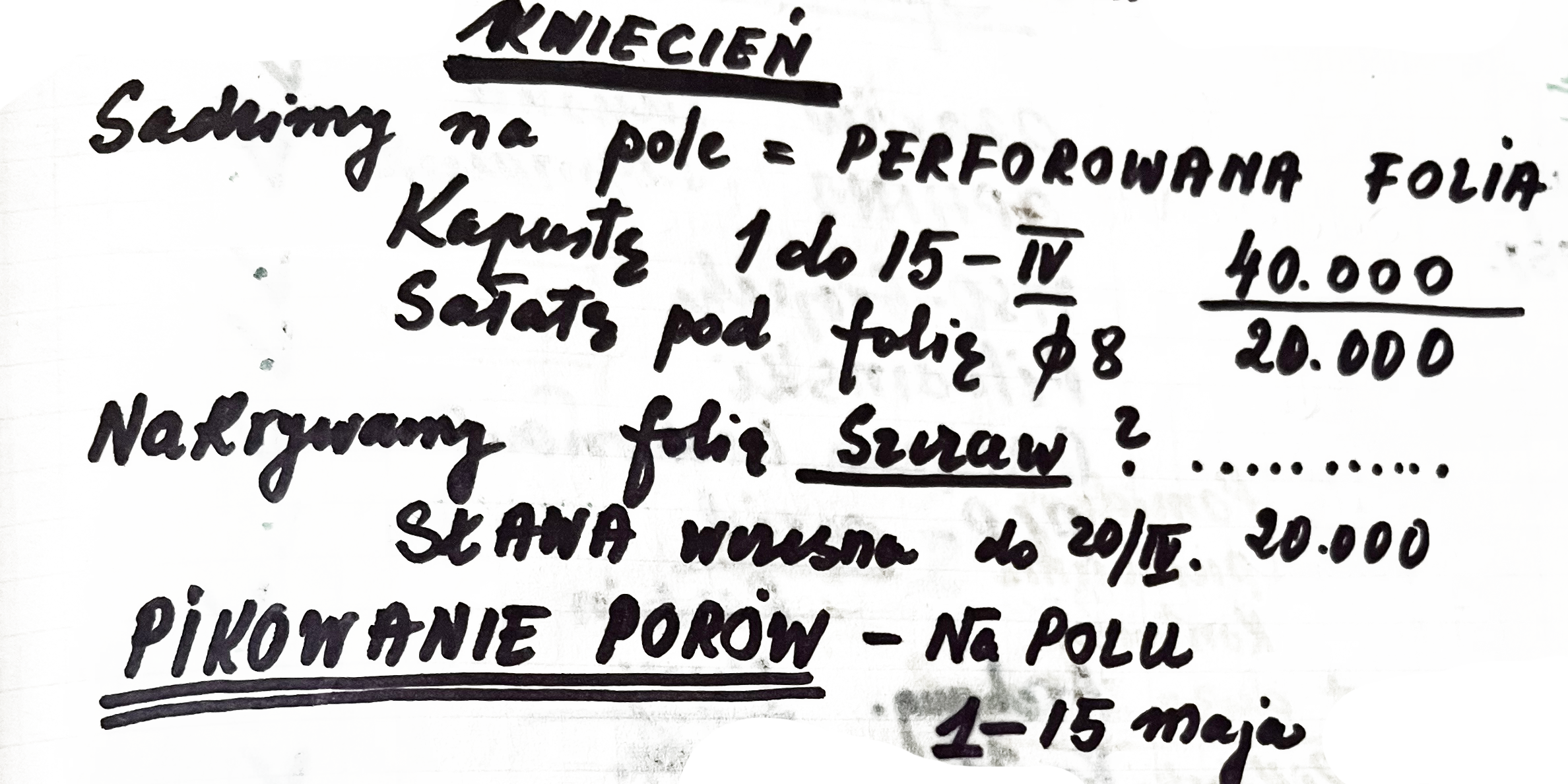 Archiwalna notatka o pikowaniu, sianiu i pracy wiosennej