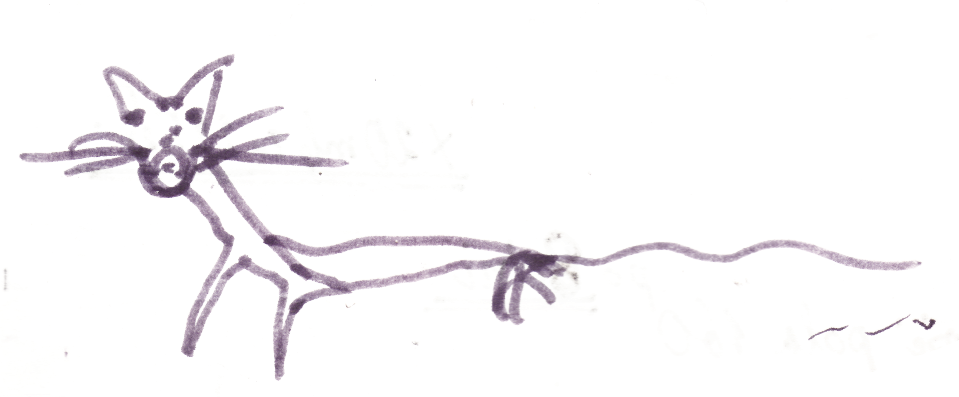 Archiwalny rysunek kota