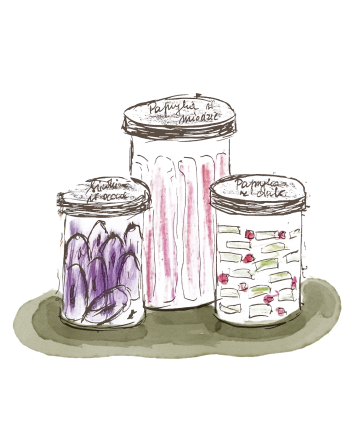 Ilustracja przetwory warzywne Rysiny