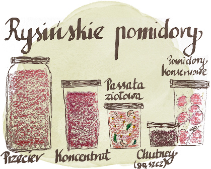 Ilustracja przetworów pomidorowych Rysiny