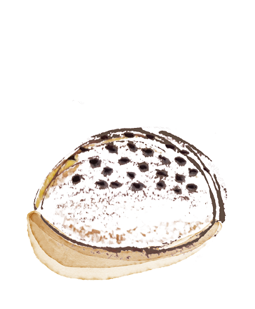 Bułeczka maślana ilustracja