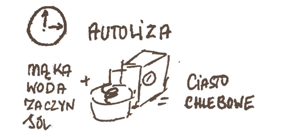 Autoliza