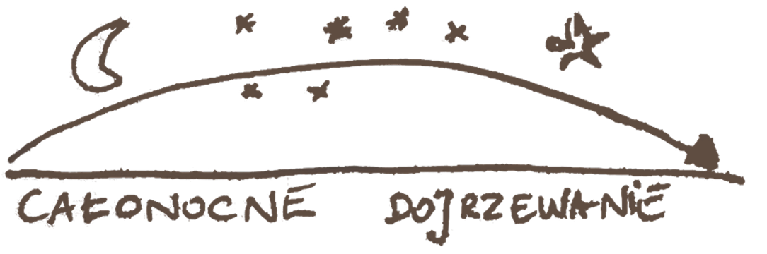 Autoliza