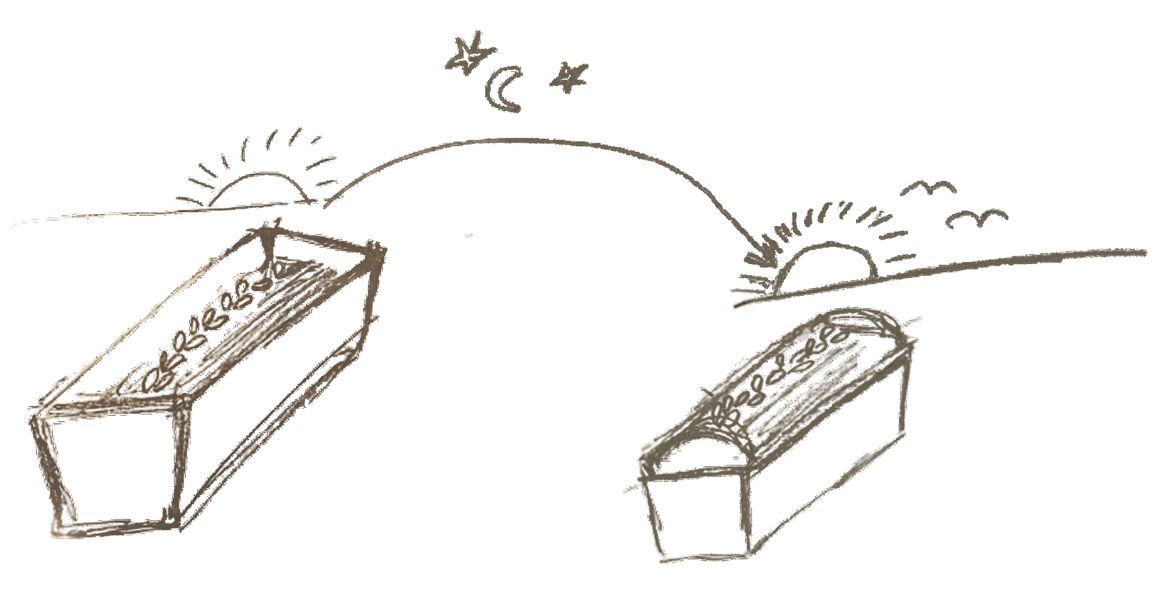 Ilustracja