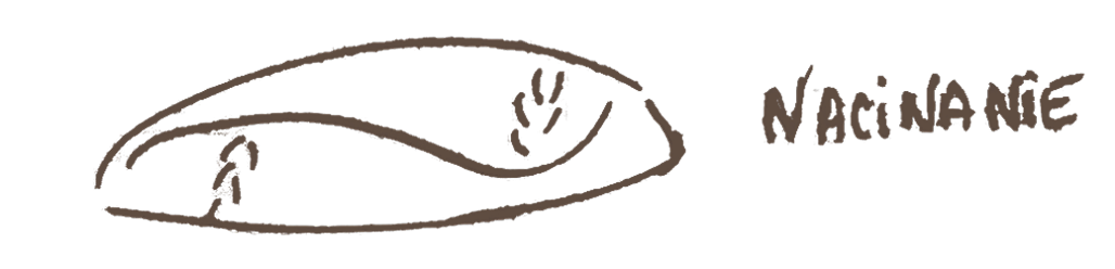 Autoliza